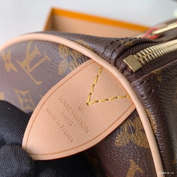 WIS SPEEDY Louis Vuitton 25 0114